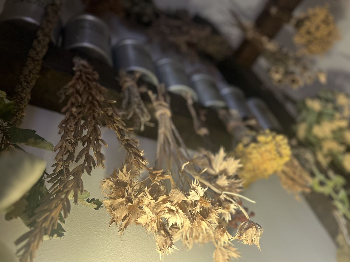 Herbarium