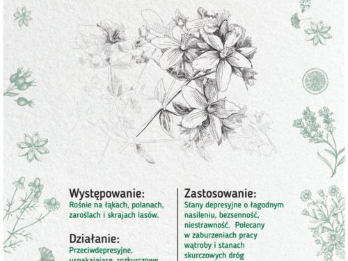 Powrót do medycyny naturalnej - Plansze