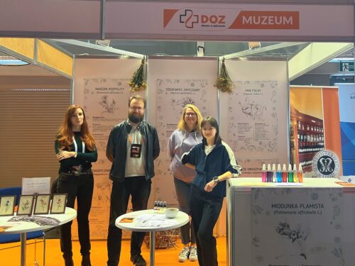 Muzeum na DOZ Maratonie
